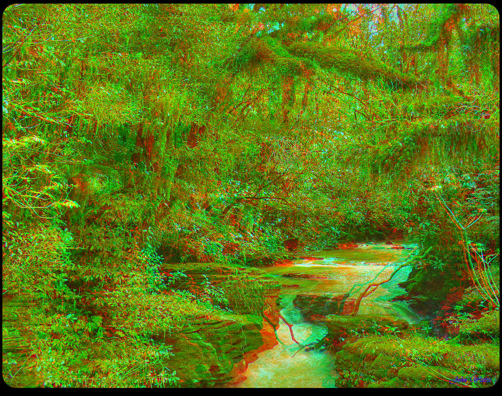 Waitomo Stream Anaglyph long base-line or hyperstereo