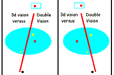 diplopia and stereo vision illustrated