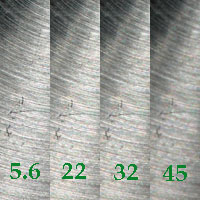 6MP camera image reduced to 800 pixels allows 1:1 macro at f32